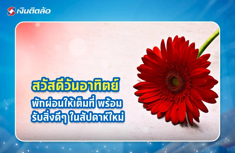 สวัสดีวันอาทิตย์ พักผ่อนให้เต็มที่